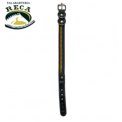 COLLAR KING COMBINADO