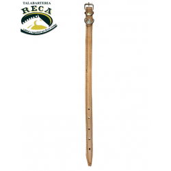 COLLAR PIEL ECONÓMICO