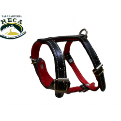 PECHERA KING ANILINIA