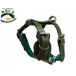 PECHERA DE PIEL PIGMENTADA