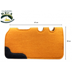 CRN38 - CARONA CHARRA...