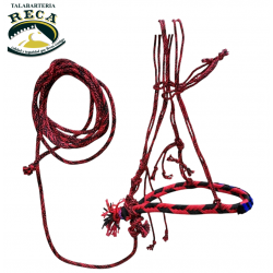 ALM1 - ALMARTIGA CON LIA