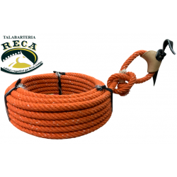 RET87 - REATA CHIVERA...